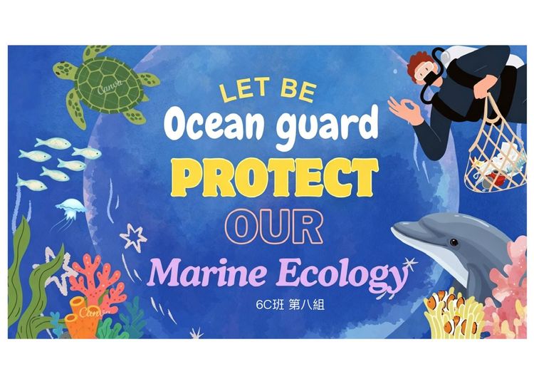 A13.Ocean Guard Group